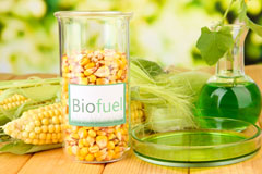 Stenson biofuel availability