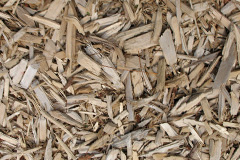 biomass boilers Stenson